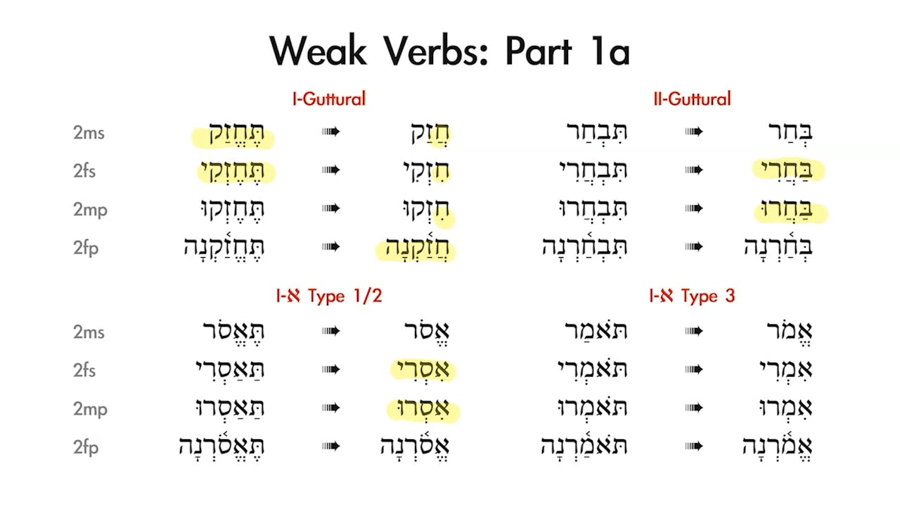 Basics of Biblical Hebrew Session 18 Qal Imperative Basics of