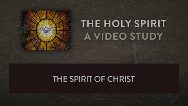 The Holy Spirit - Session 7 - The Spi...