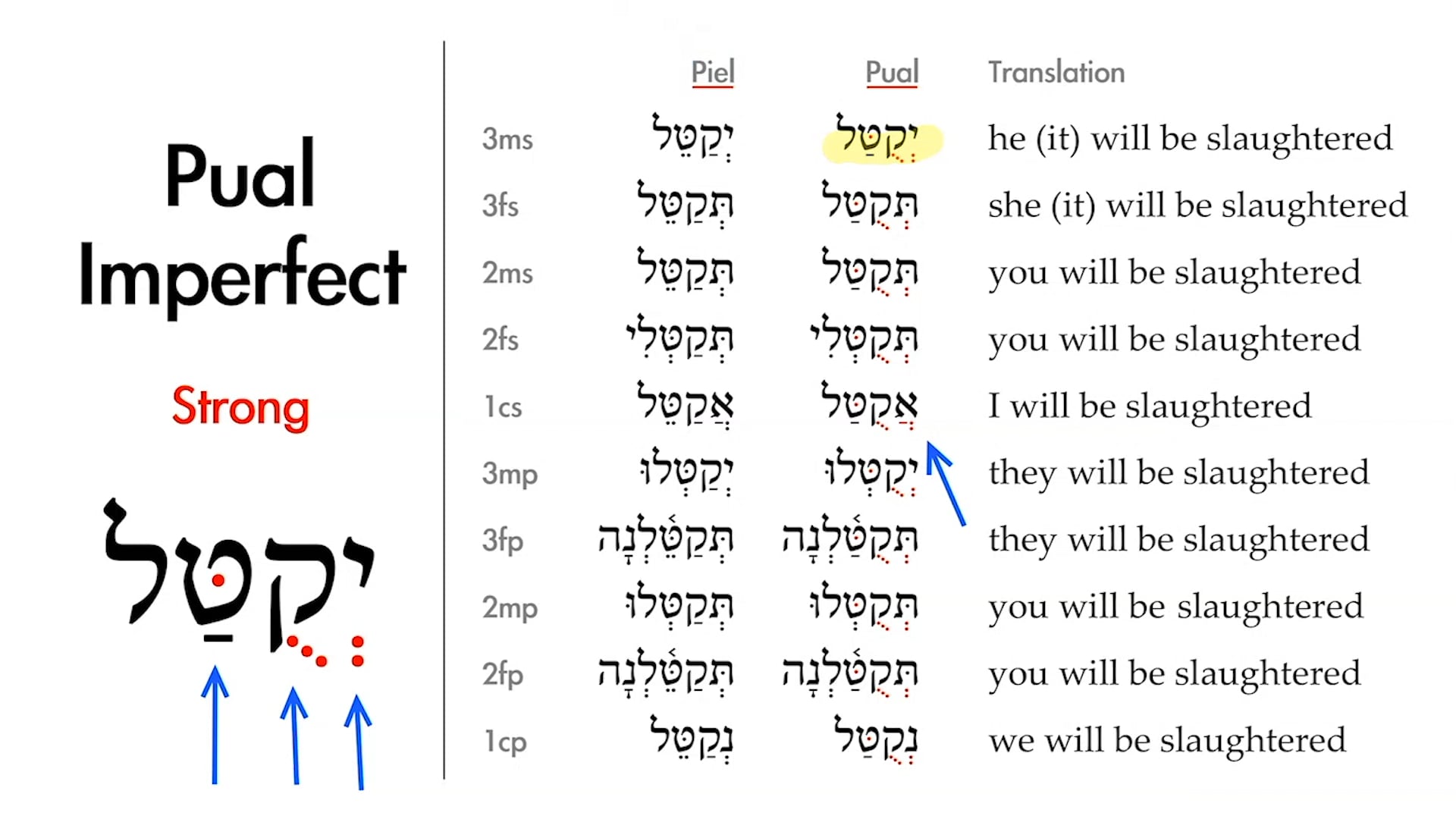 Basics of Biblical Hebrew - Session 32 - The Pual Stem Strong Verbs