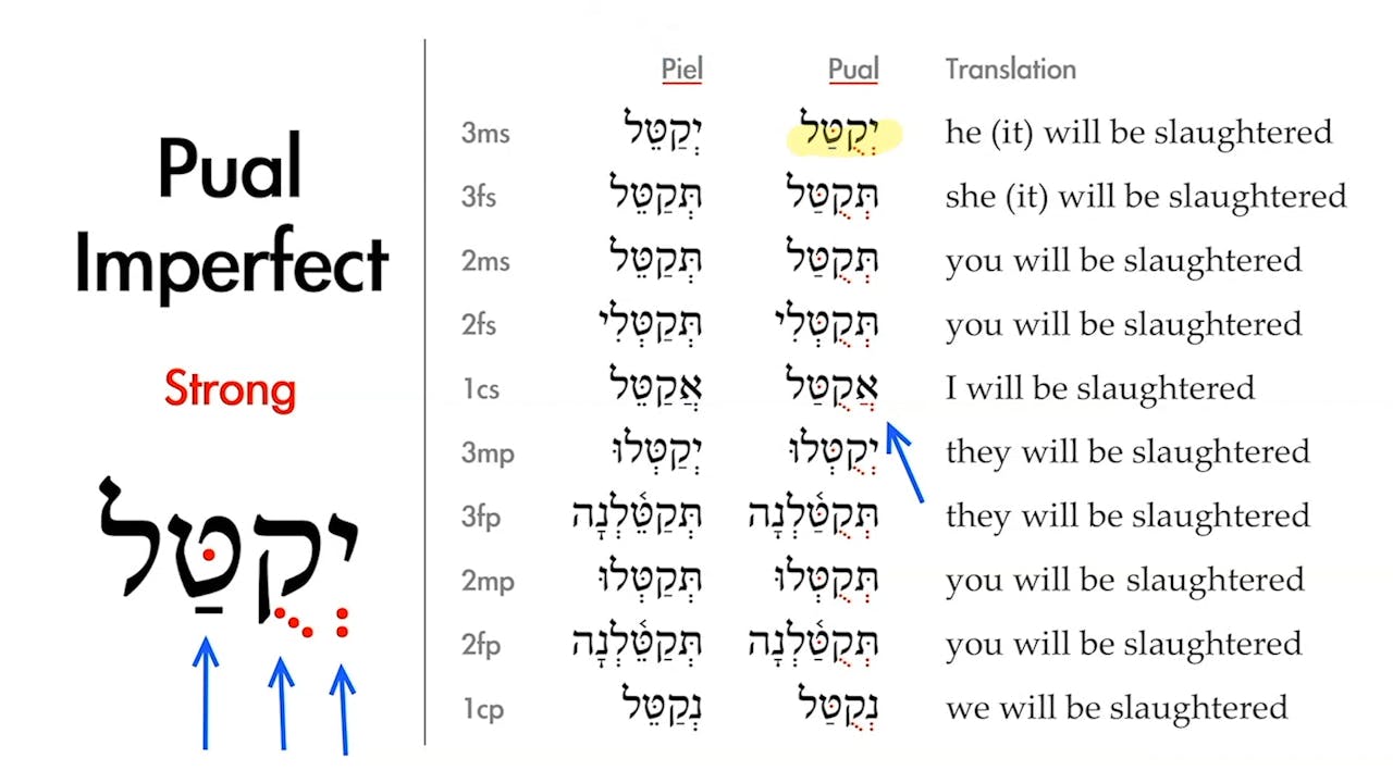 Basics of Biblical Hebrew Session 32 The Pual Stem Strong Verbs
