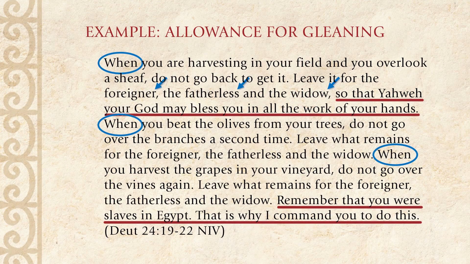 The Torah Story - Session 27 - The Rules and Regulations