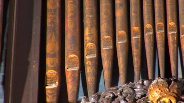 Surprised by Hope Session 4 - The Hop...