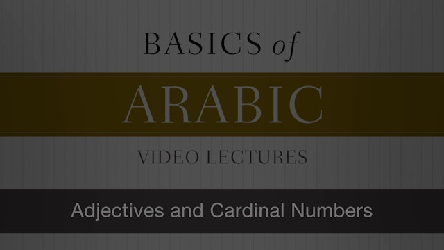 Basics of Arabic - Session 8 - Adjectives and Cardinal Numbers
