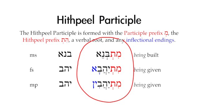 Basics of Biblical Aramaic - Session 18 - Peil, Hithpeel, and Ithpeel Stems