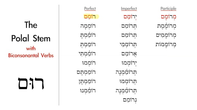 Basics of Biblical Hebrew - Session 33 - The Pual Stem Weak Verbs