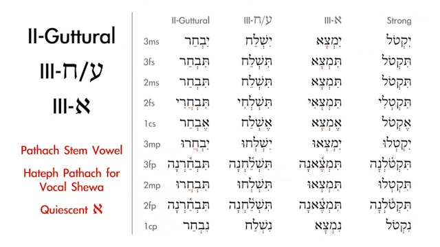 Basics of Biblical Hebrew - Session 16 - Qal Imperfect Weak Verbs