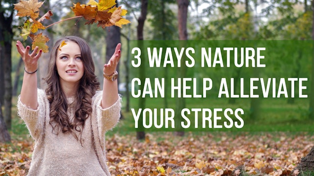3 ways nature can help alleviate your stress