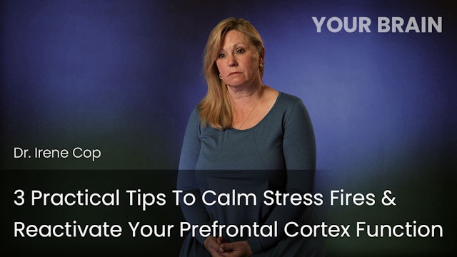 3 Practical Tips to Calm Stress Fires Reactivate Your Prefrontal Cortex Function