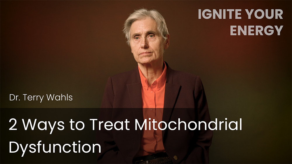 2 Ways to Treat Mitochondrial Dysfunction