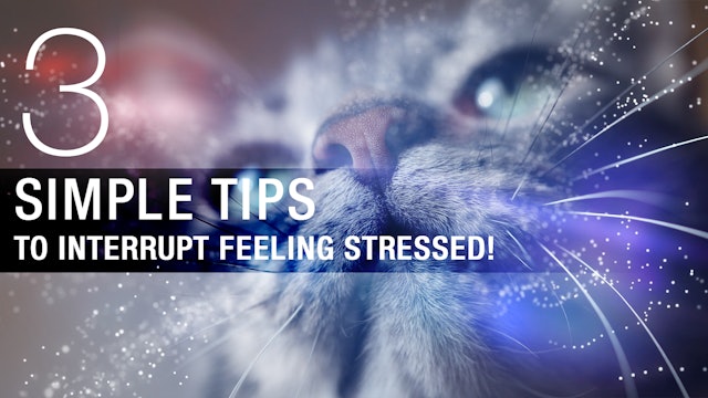 3 simple tips to avoid feeling stressed