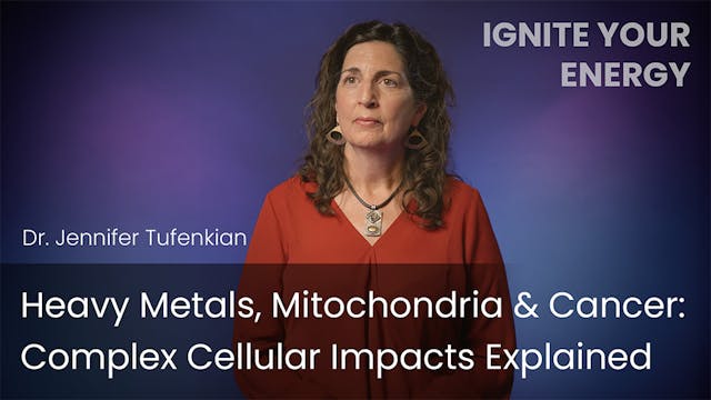 Heavy Metals, Mitochondria & Cancer: ...