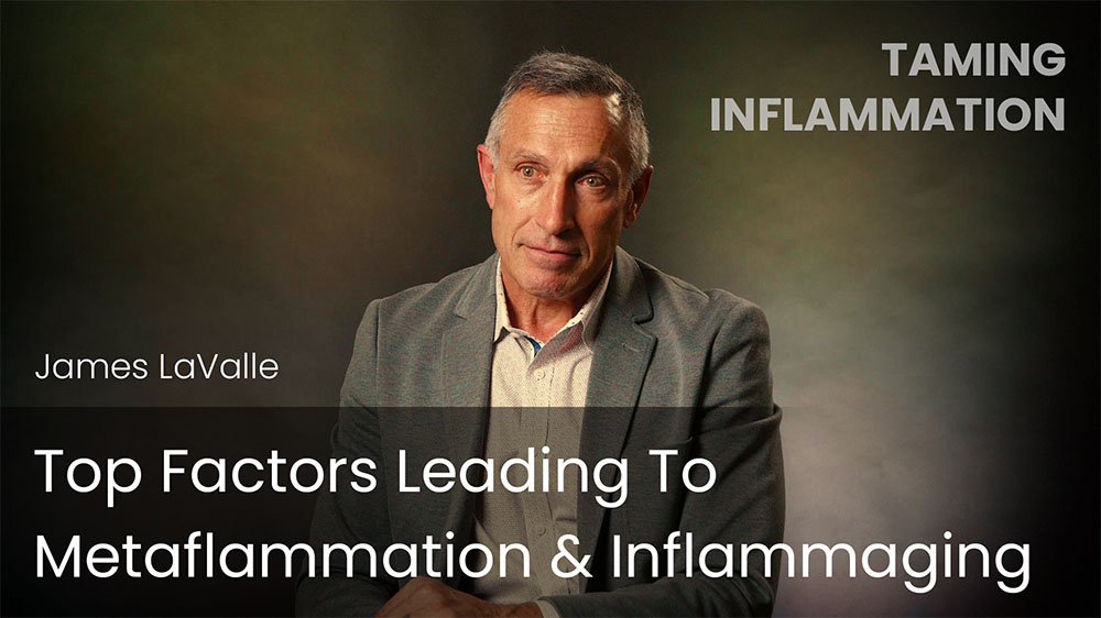 Top Factors Leading To Metaflammation & Inflammaging