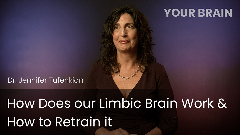 How Does Our Limbic Brain Work & How to Retrain it