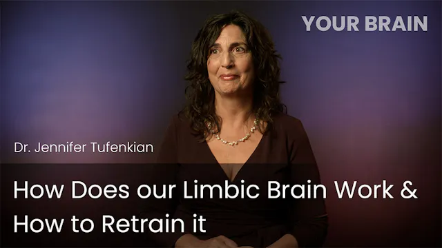 How Does Our Limbic Brain Work & How ...