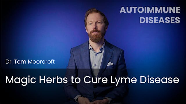 Magic Herbs to Cure Lyme Disease