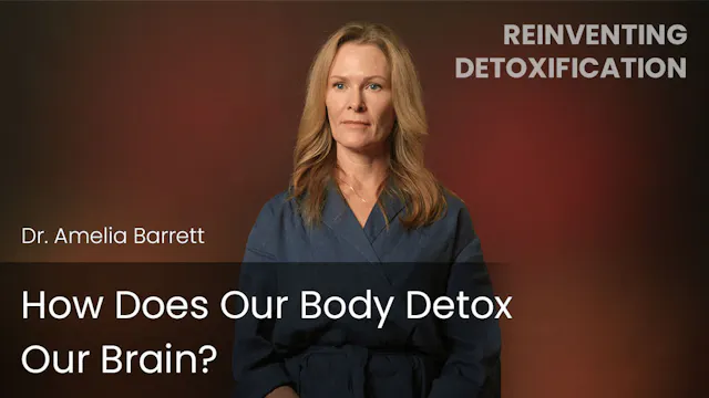 How Does Our Body Detox Our Brain