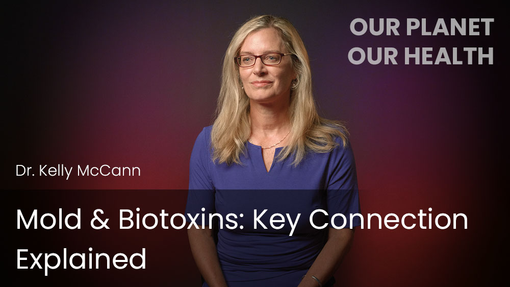 Mold & Biotoxins: Key Connection Explained