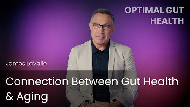 Connection Between Gut Health & Aging
