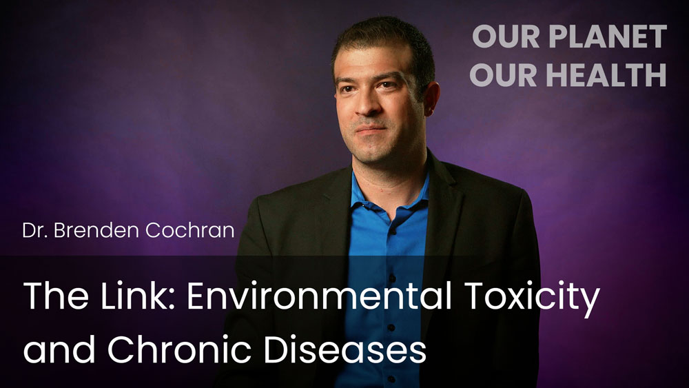 The Link: Environmental Toxicity And Chronic Diseases