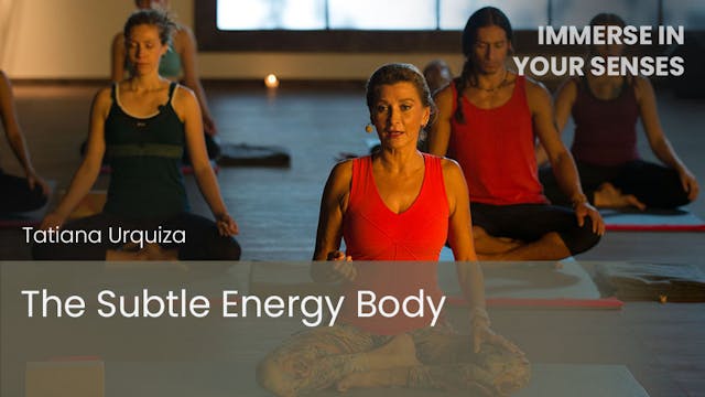 The Subtle Energy Body