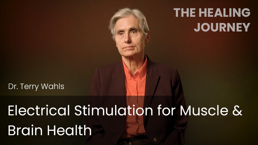 Electrical Stimulation for Muscle & Brain Health