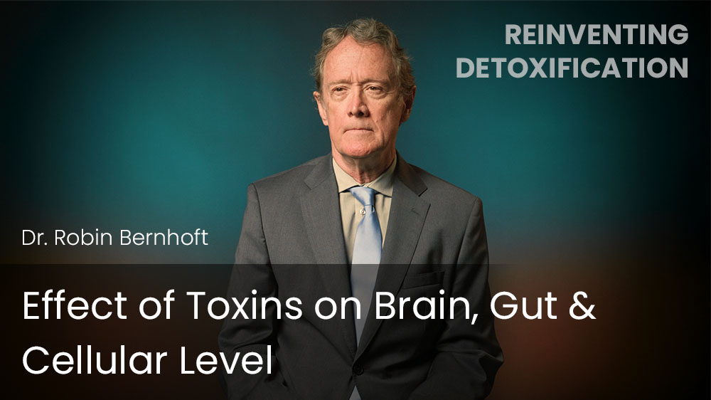 Effect of Toxins on Brain, Gut & Cellular Level