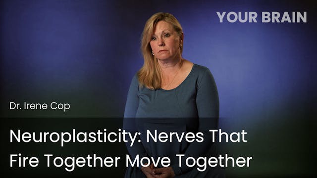 Neuroplasticity - Nerves That Fire To...