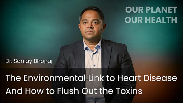 The Environmental Link to Heart Disea...