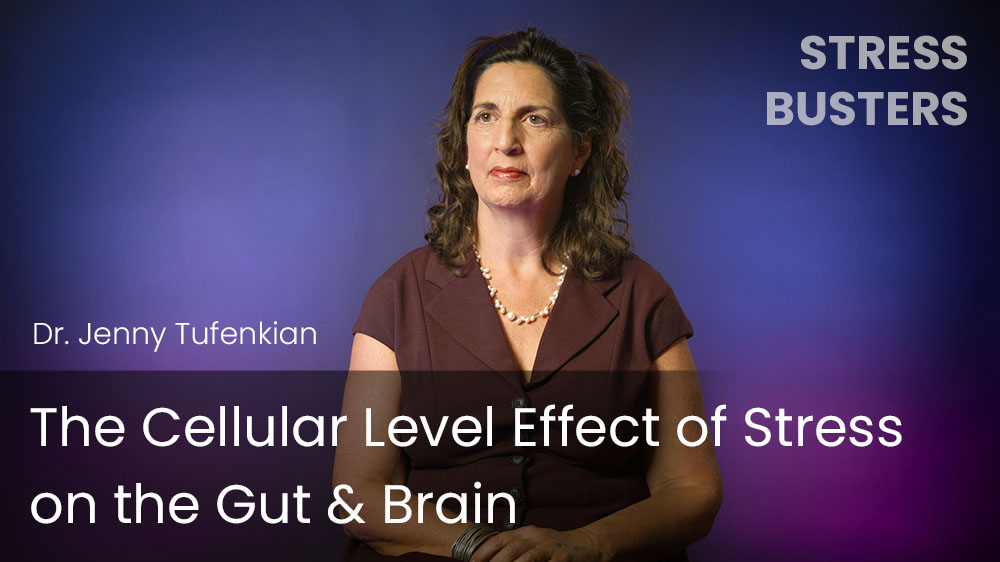 The Cellular Level Effect of Stress on the Gut & Brain