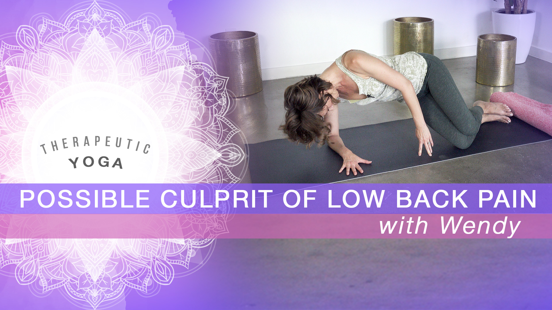 Possible Culprit of Low Back Pain