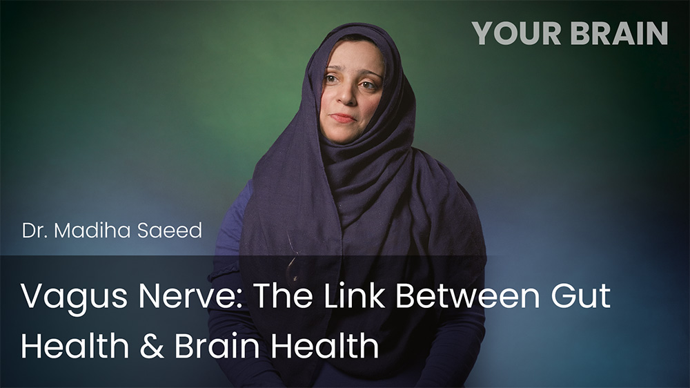Vagus Nerve - The Link Between Gut Health & Brain Health