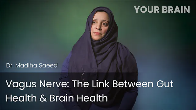 Vagus Nerve - The Link Between Gut He...