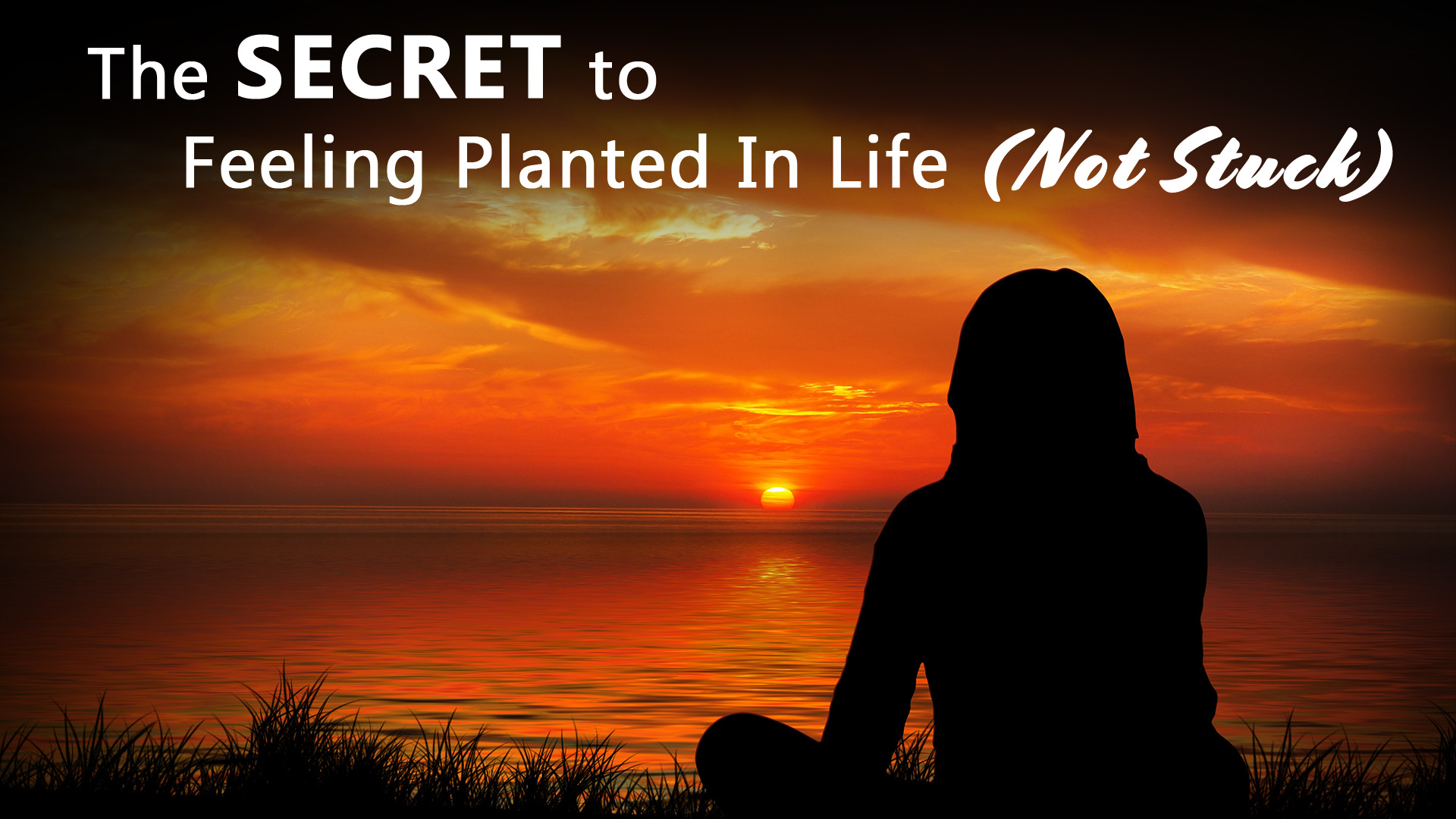The Secret To Feeling Planted In Life (Not Stuck)