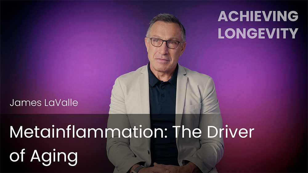 Metainflammation - The Driver of Aging