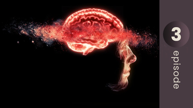 The Wildfire in Your Brain: #1 Cause of Brain Disorders