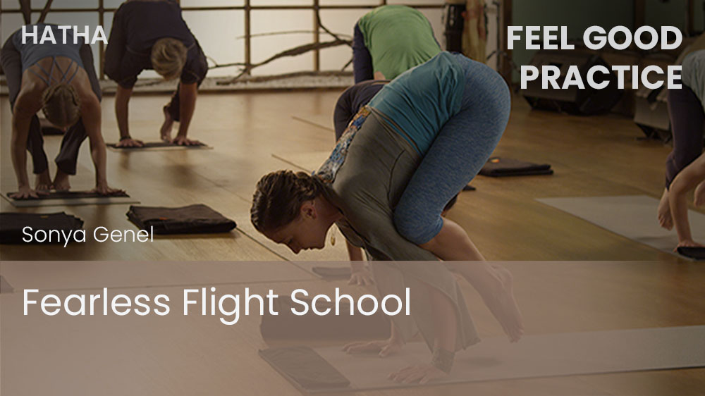 Fearless Flight School