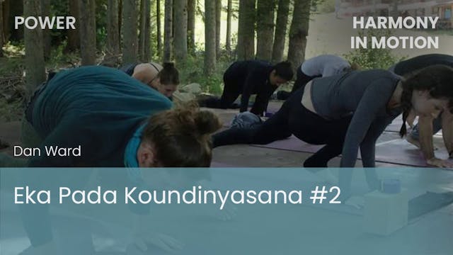 Eka Pada Koundinyasana #2