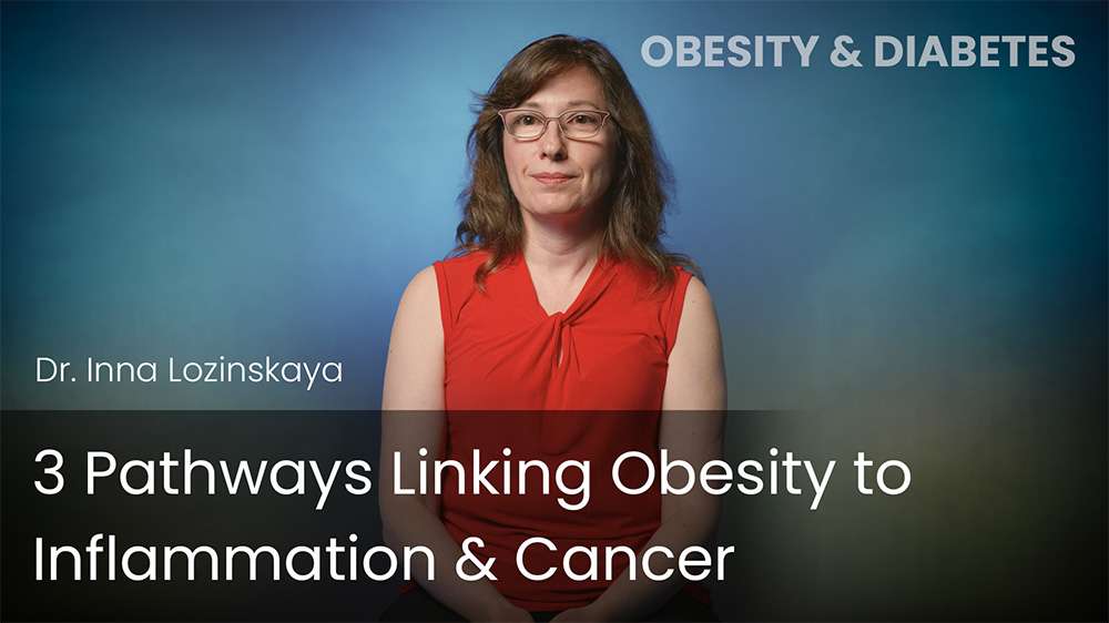 3 Pathways Linking Obesity to Inflammation & Cancer
