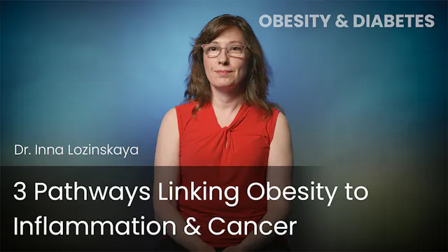 3 Pathways Linking Obesity to Inflamm...