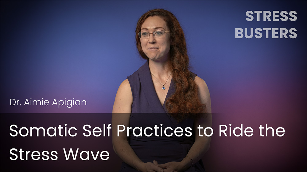 Somatic Self Practices to Ride the Stress Wave