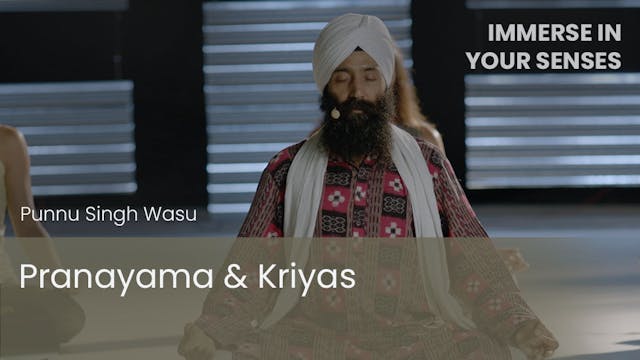 Pranayama & Kriyas