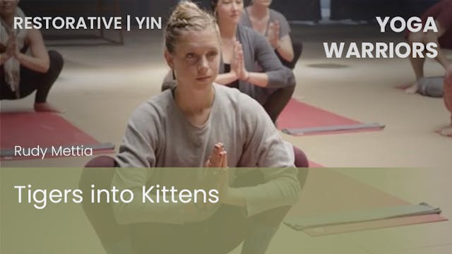 Tigers into Kittens