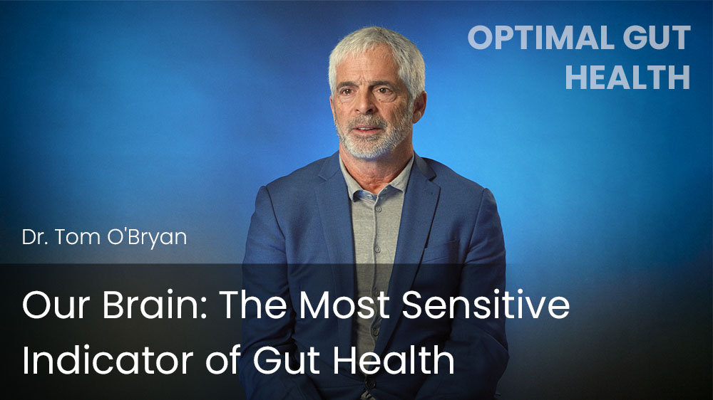 Our Brain - The Most Sensitive Indicator of Gut Health