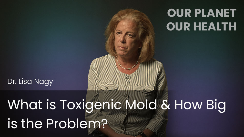 What is Toxigenic Mold & How Big is the Problem?