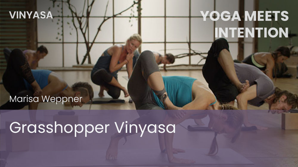 Grasshopper Vinyasa