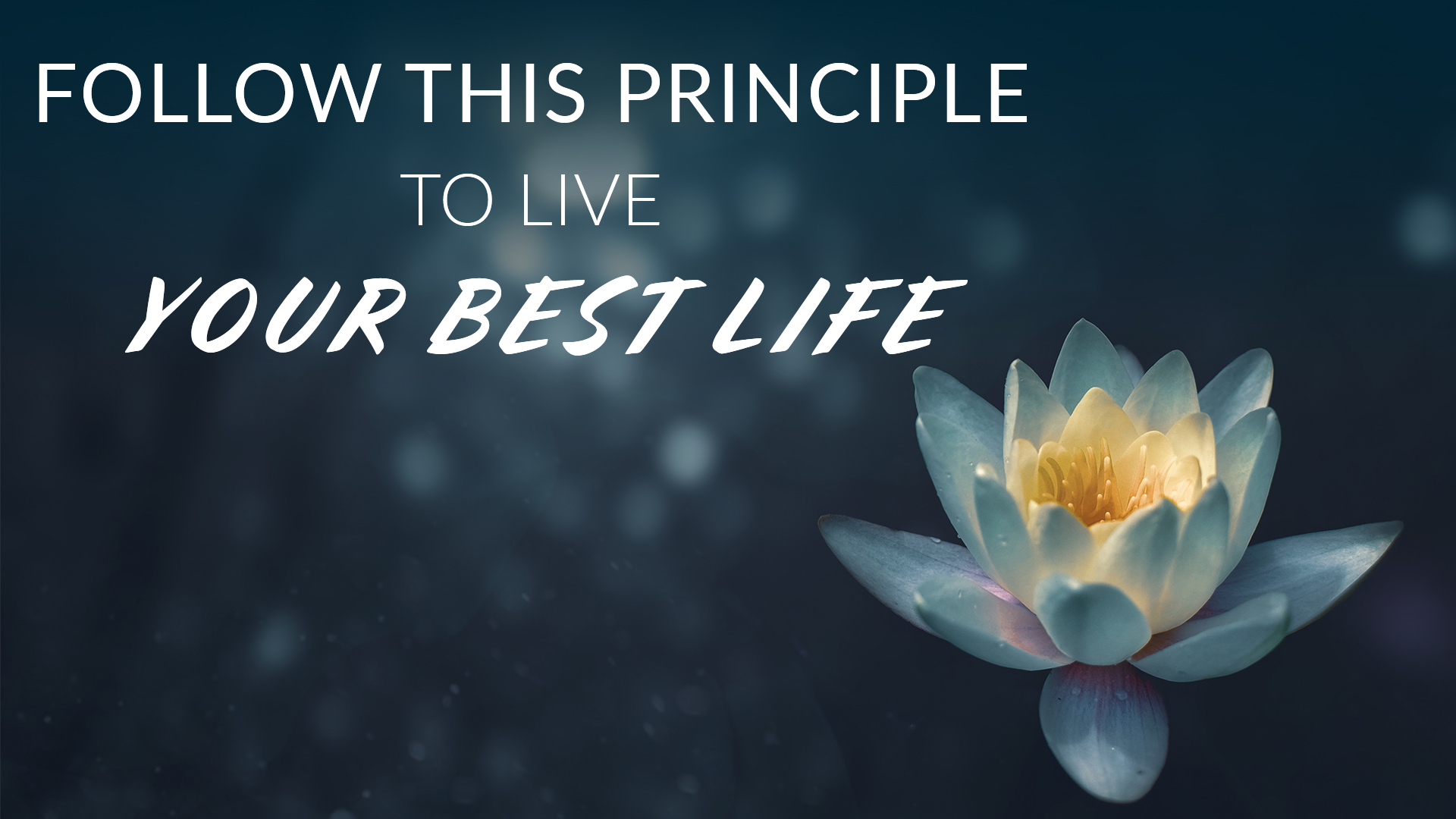 Follow This Principle To Live Your Best Life
