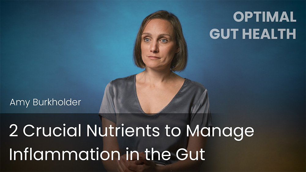 2 Crucial Nutrients to Manage Inflammation in the Gut