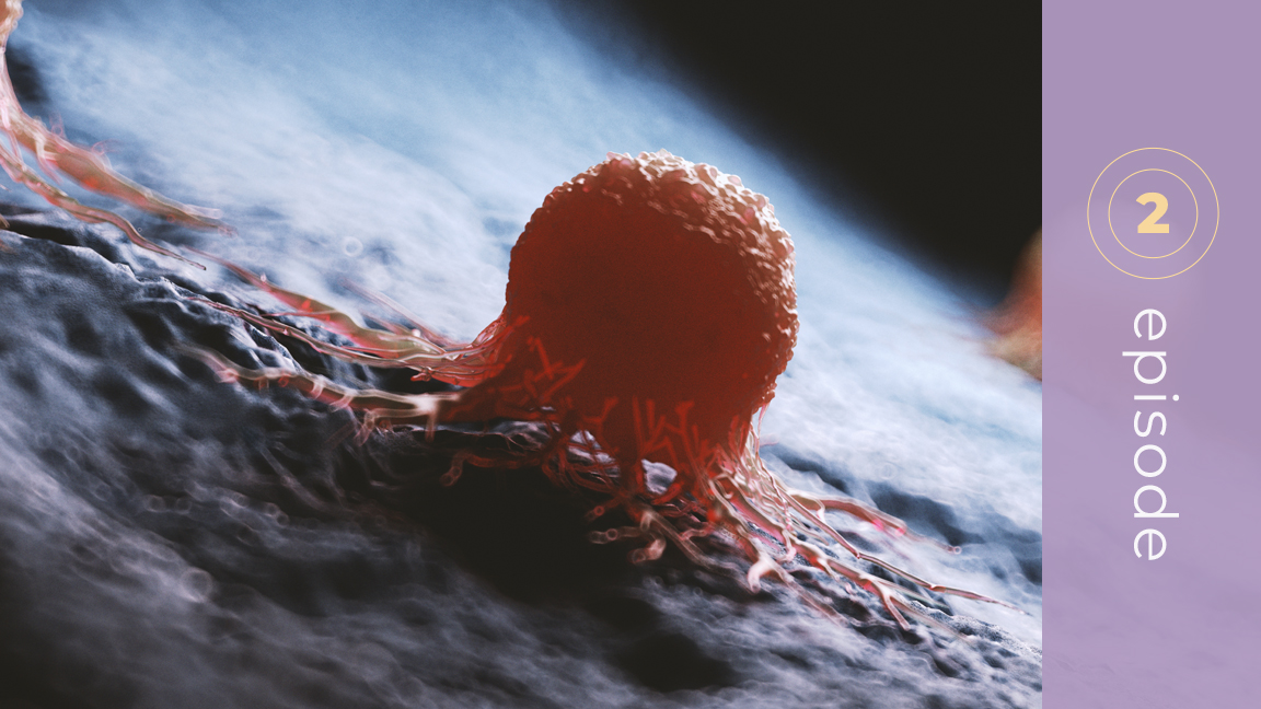 How Cells Decide Whether to Multiply, Die, or Repair