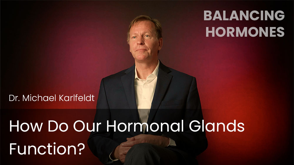 How Do Our Hormonal Glands Function?