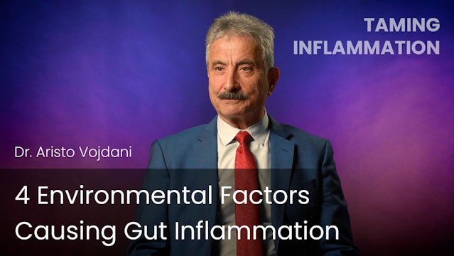 4 Environmental Factors Causing Gut Inflammation